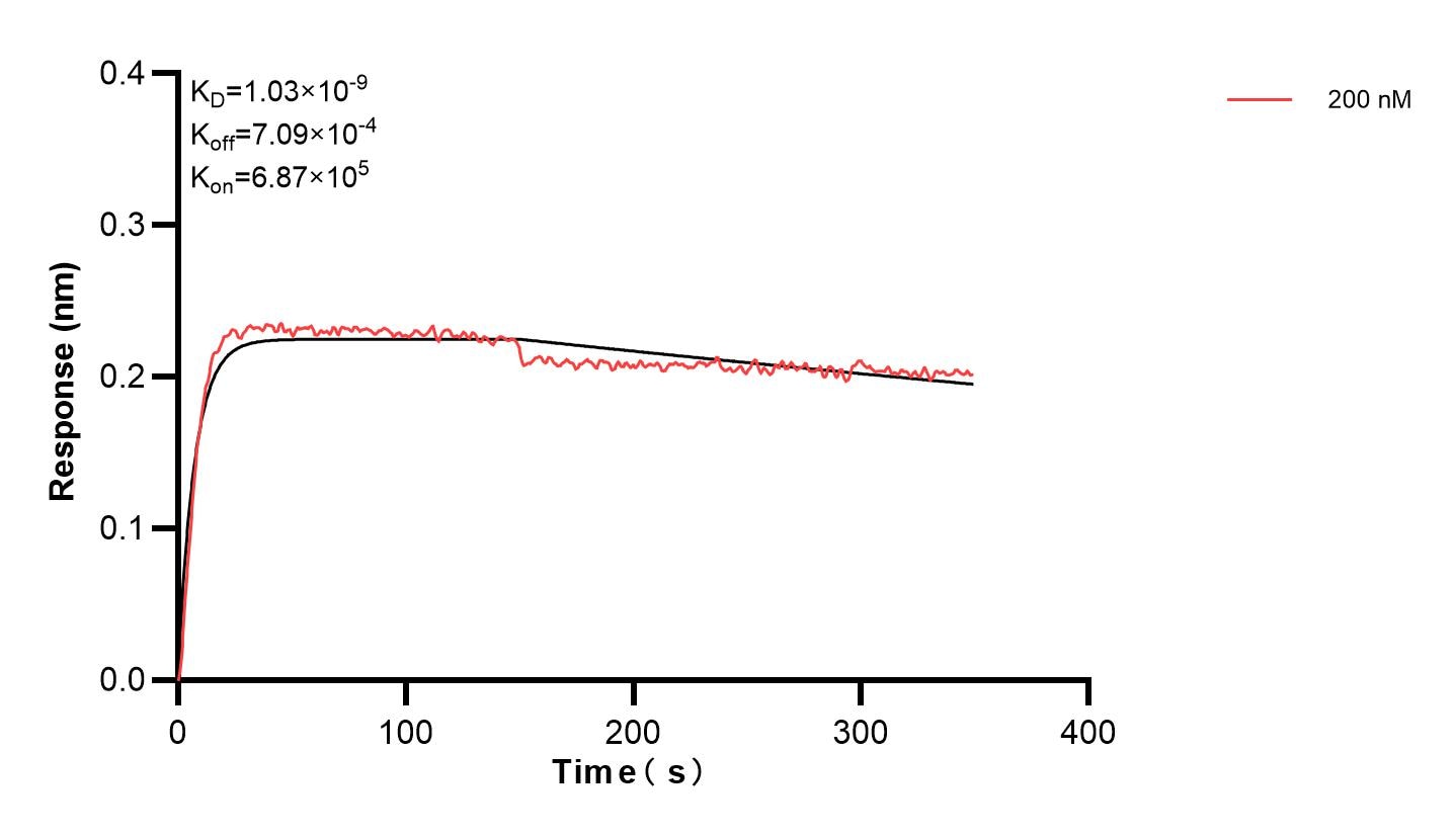 Affinity and Kinetic Characterization of 83903-2-PBS