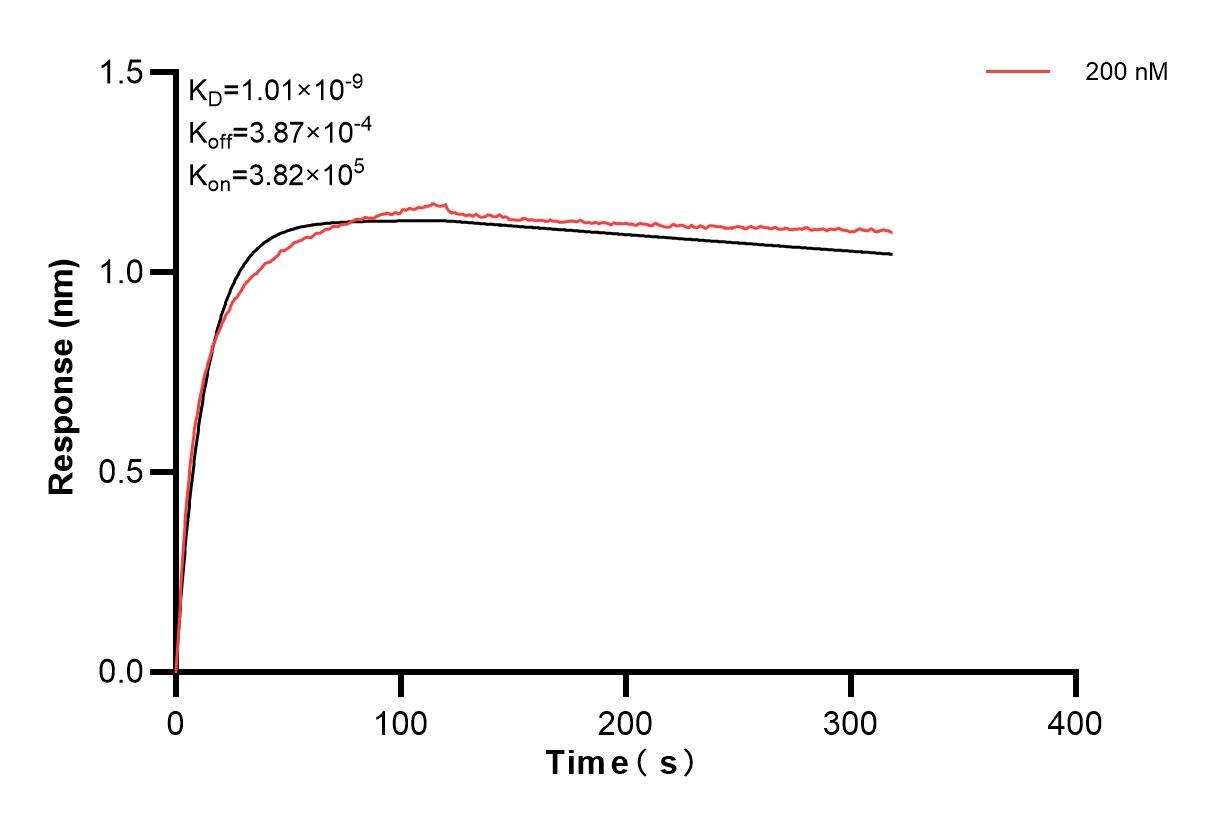 Affinity and Kinetic Characterization of 83905-3-PBS