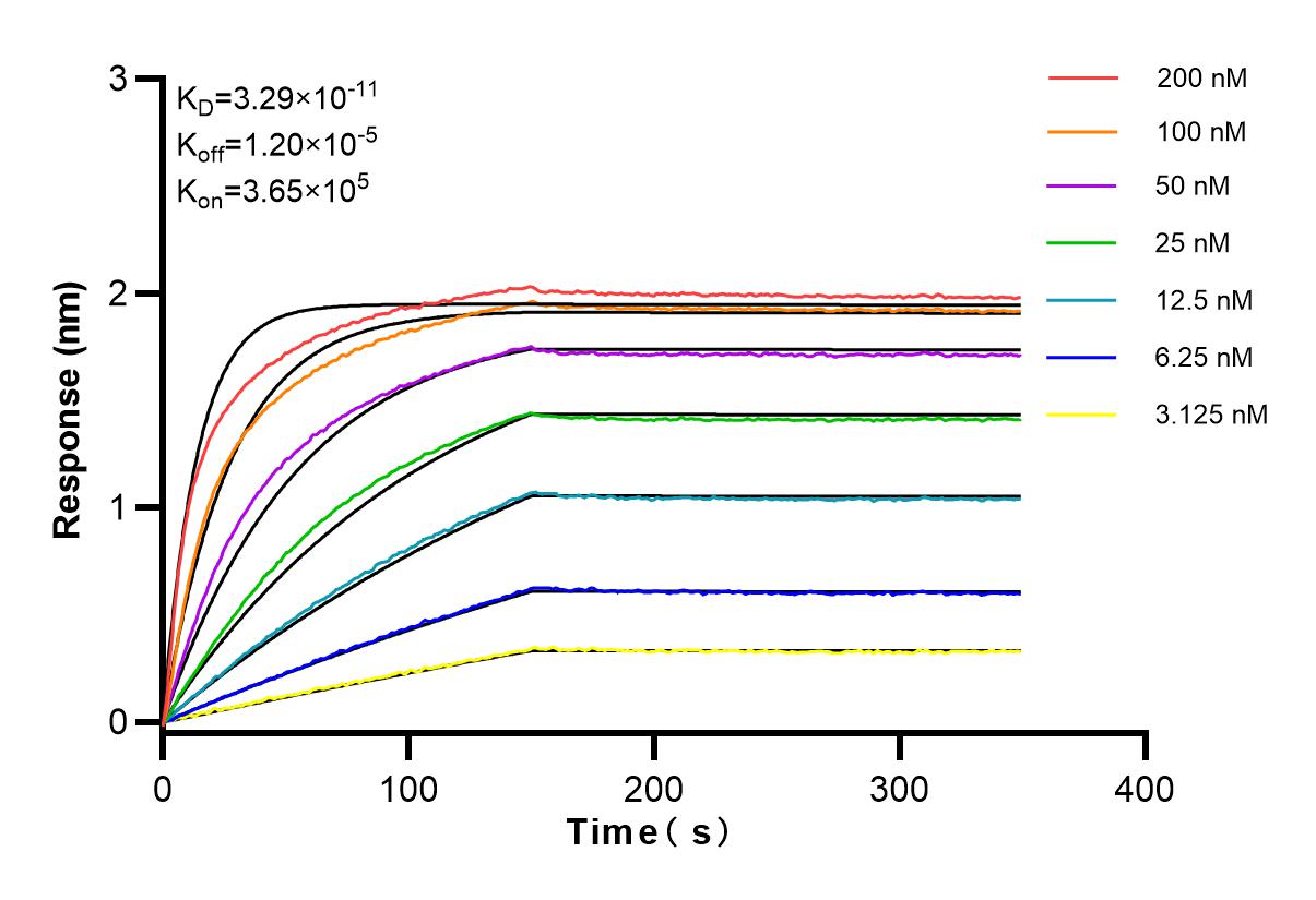 Affinity and Kinetic Characterization of 83909-5-RR