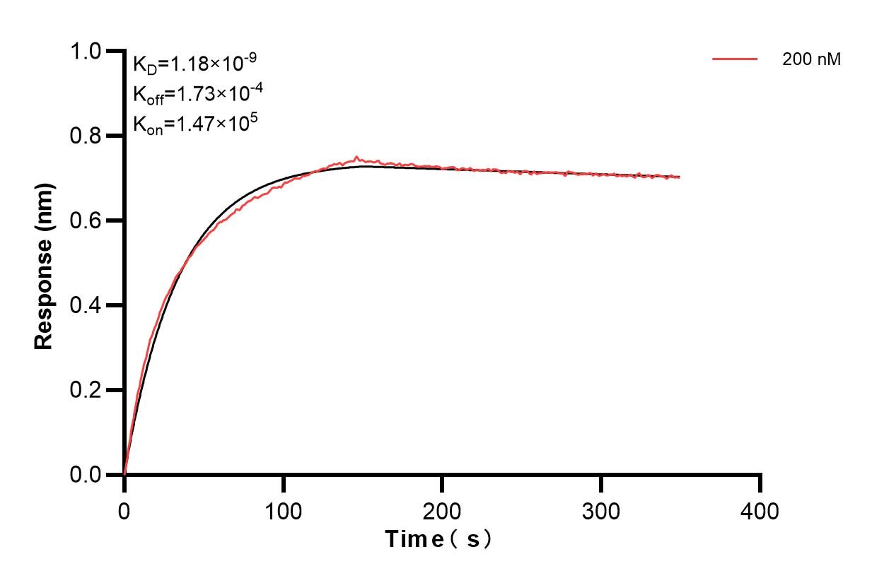 Affinity and Kinetic Characterization of 83917-6-PBS