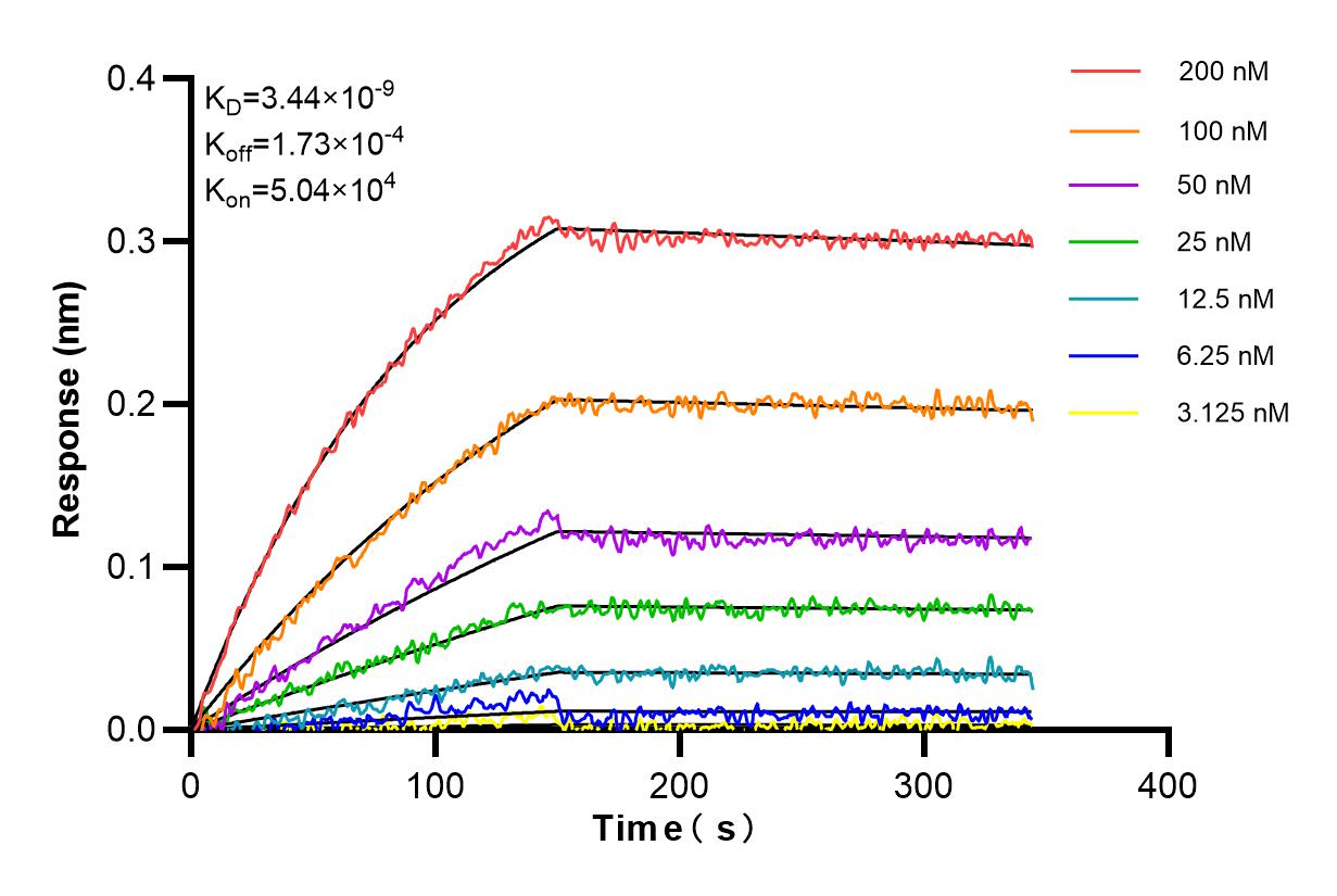 Affinity and Kinetic Characterization of 83918-3-RR
