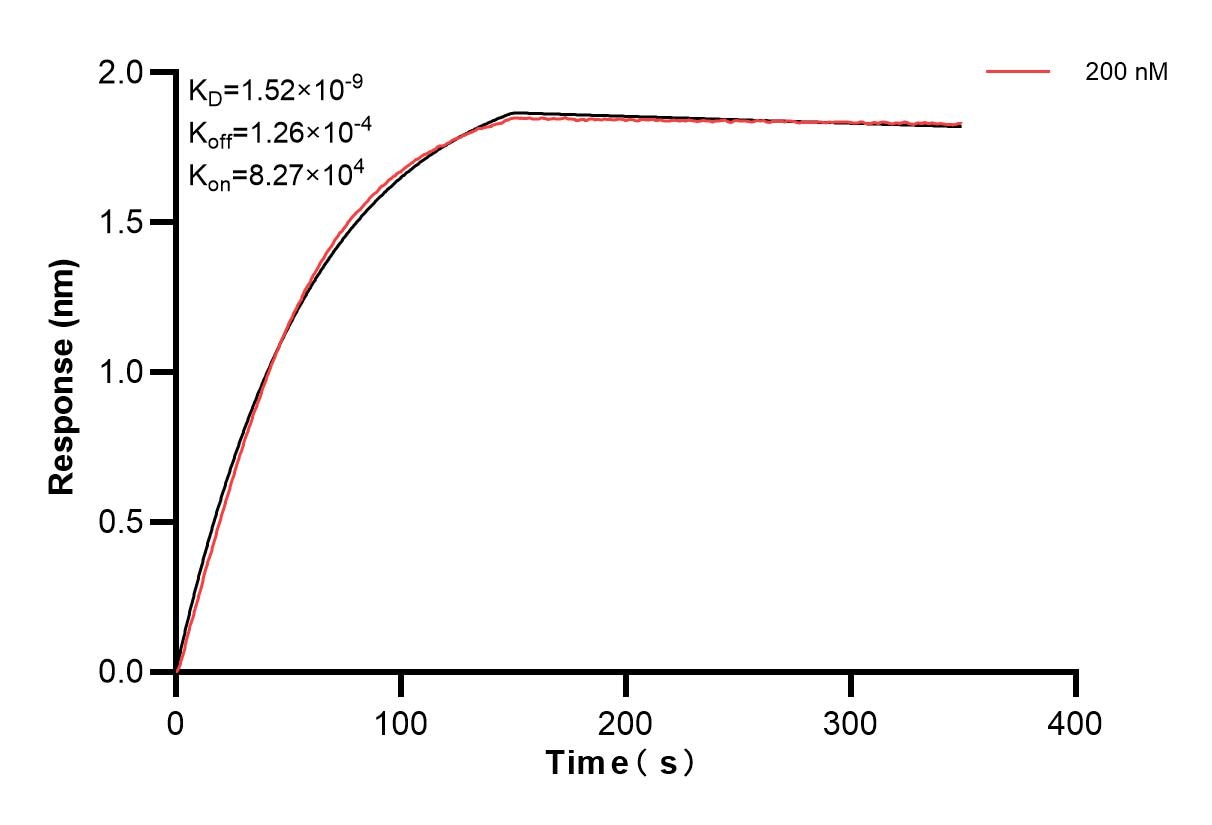 Affinity and Kinetic Characterization of 83937-2-PBS