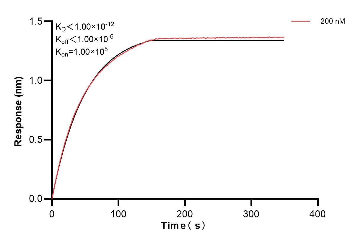 Affinity and Kinetic Characterization of 83946-2-PBS