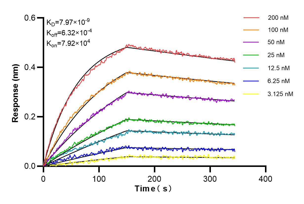 Affinity and Kinetic Characterization of 83947-5-RR