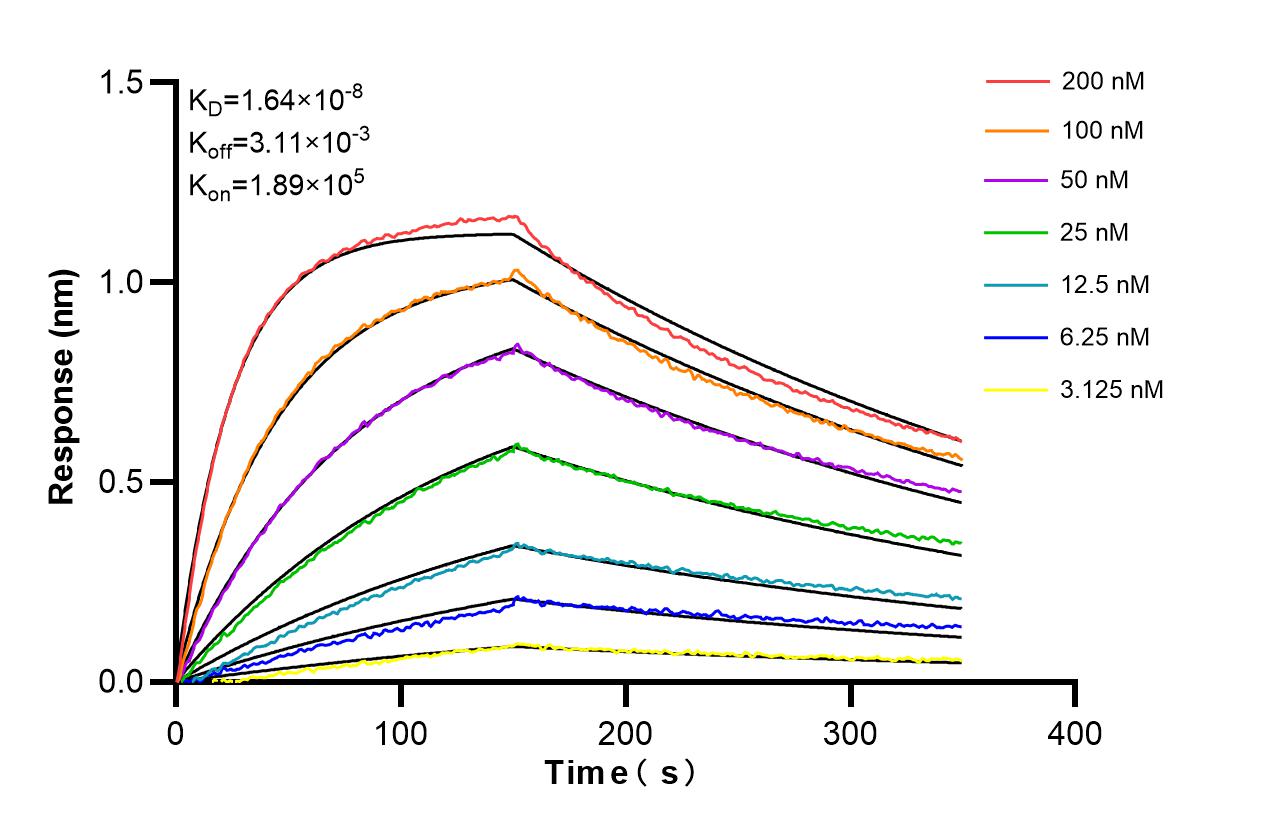 Affinity and Kinetic Characterization of 83957-4-RR