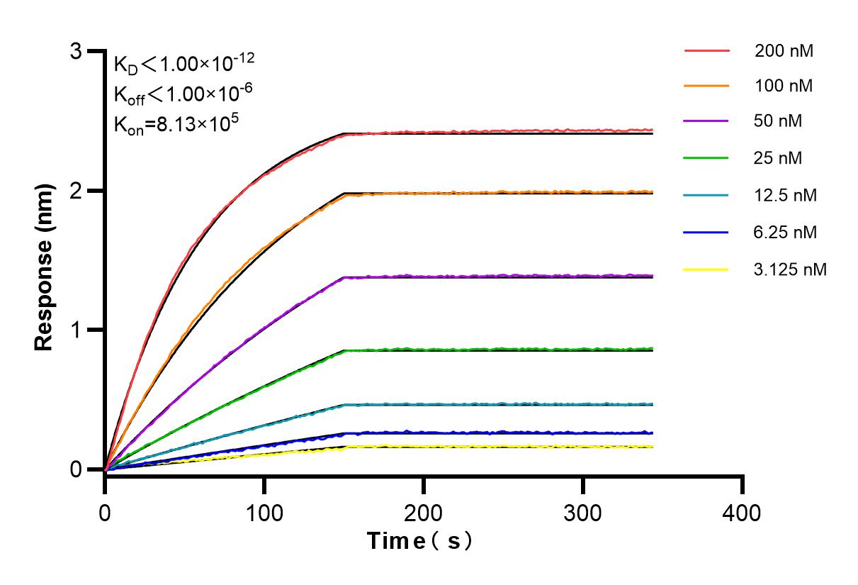 Affinity and Kinetic Characterization of 83973-4-RR