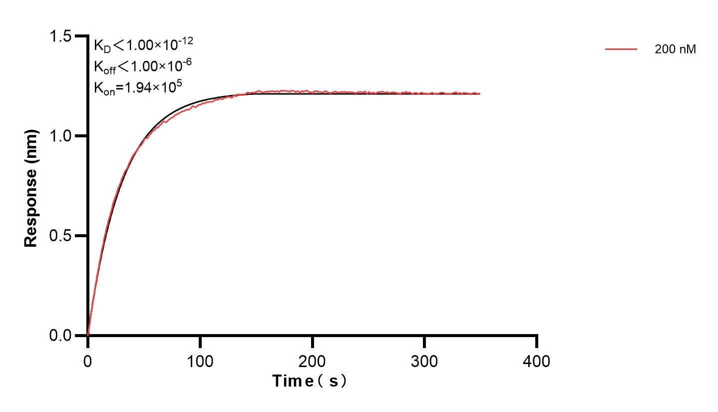 Affinity and Kinetic Characterization of 83979-2-PBS