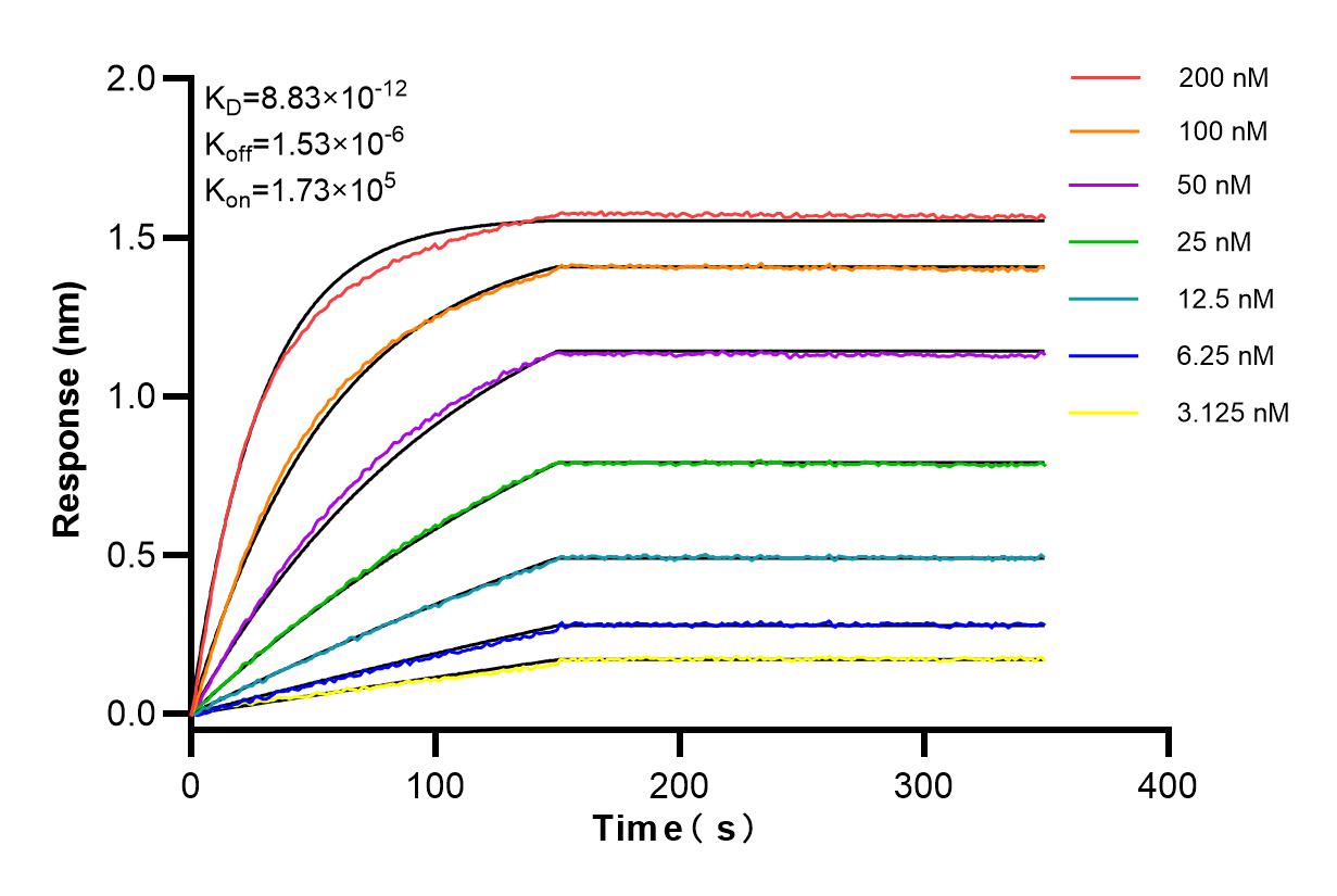 Affinity and Kinetic Characterization of 83979-5-RR