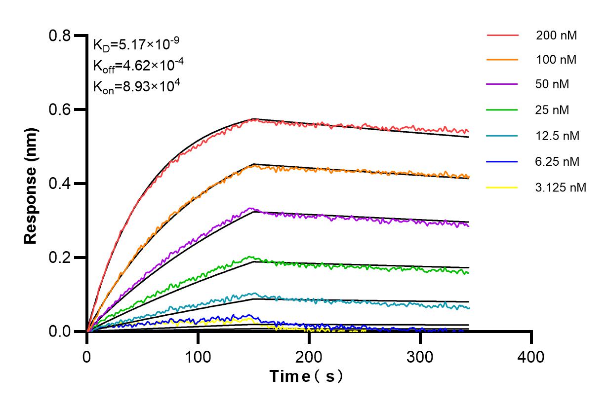 Affinity and Kinetic Characterization of 83986-5-RR