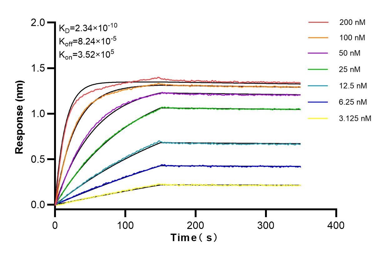 Affinity and Kinetic Characterization of 83989-4-RR