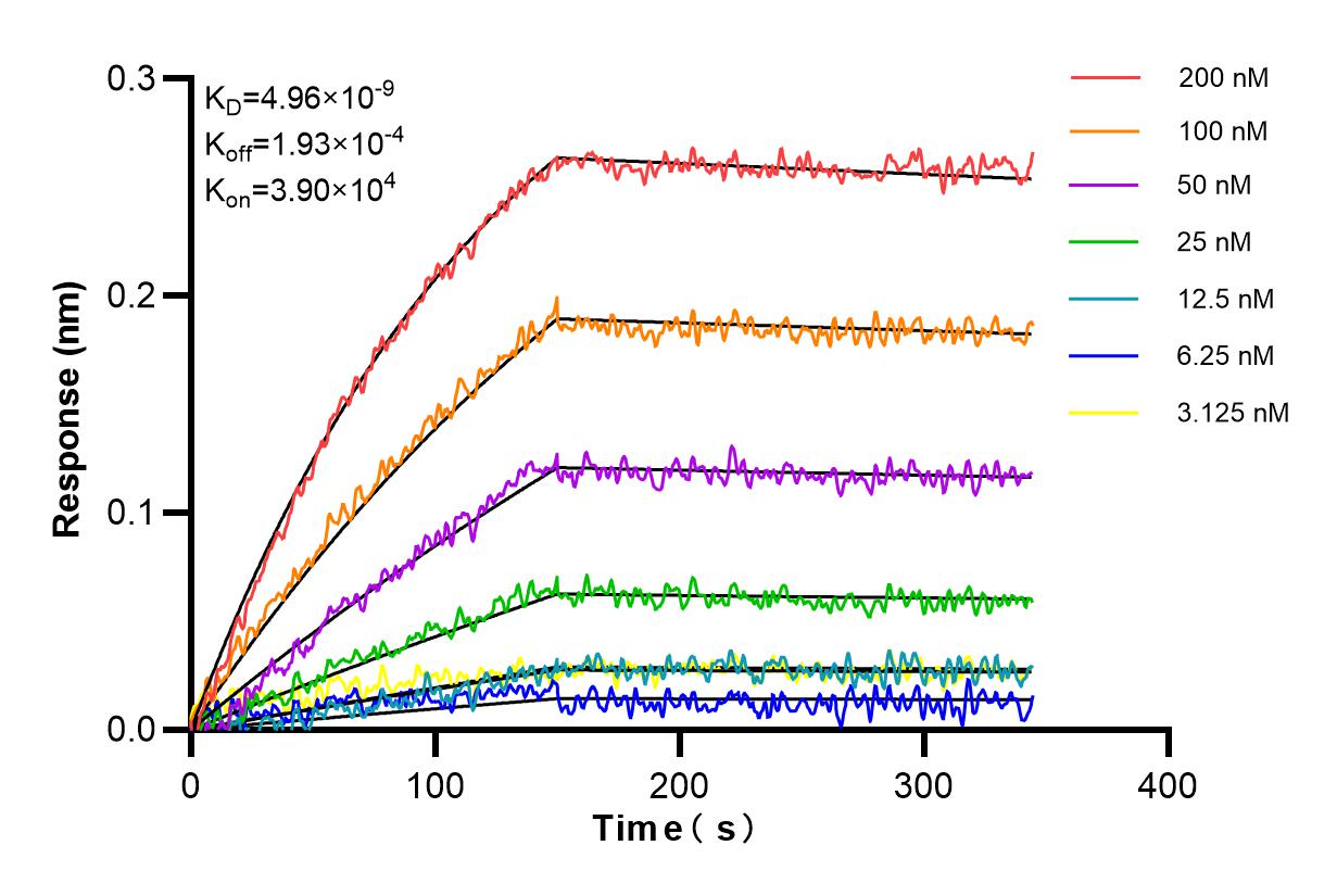 Affinity and Kinetic Characterization of 84011-6-RR