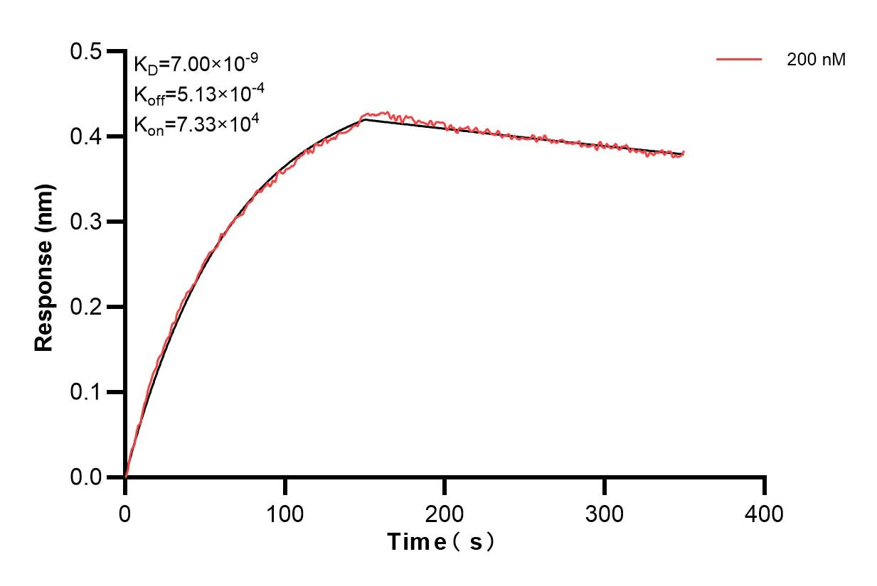 Affinity and Kinetic Characterization of 84013-6-PBS