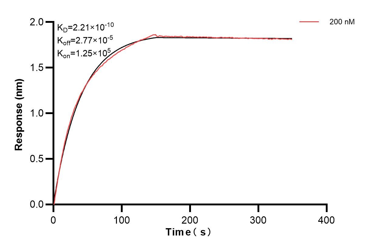 Affinity and Kinetic Characterization of 84033-2-PBS