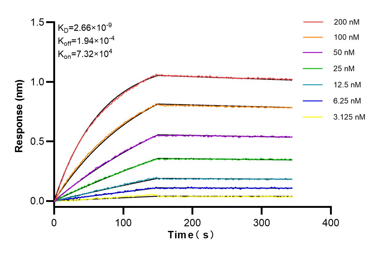 Affinity and Kinetic Characterization of 84040-6-RR