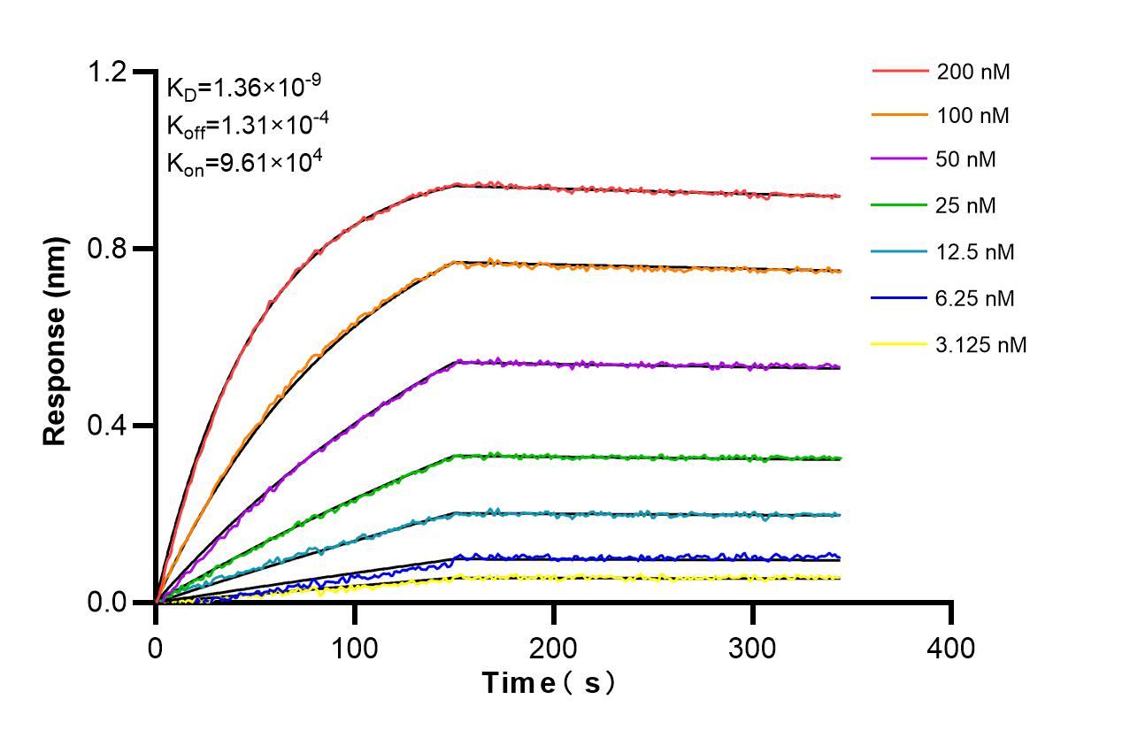 Affinity and Kinetic Characterization of 84040-7-RR