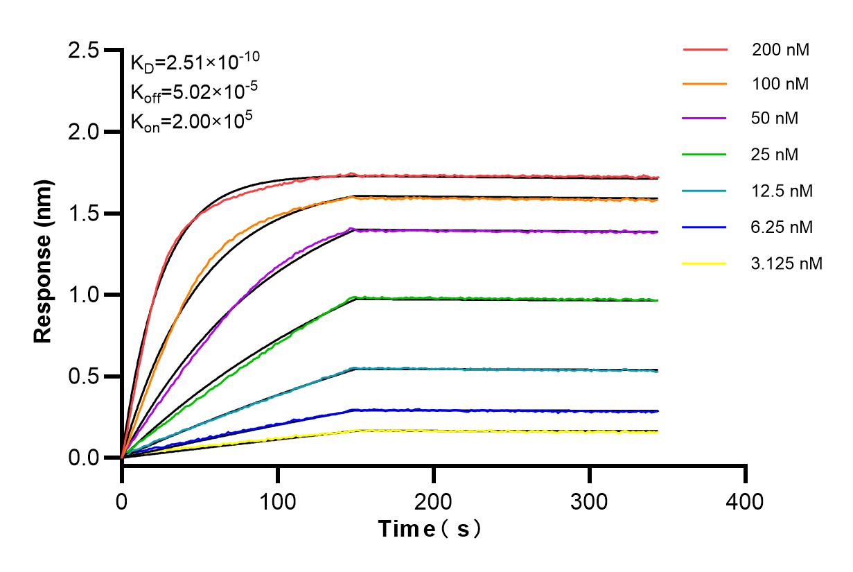 Affinity and Kinetic Characterization of 84056-6-RR