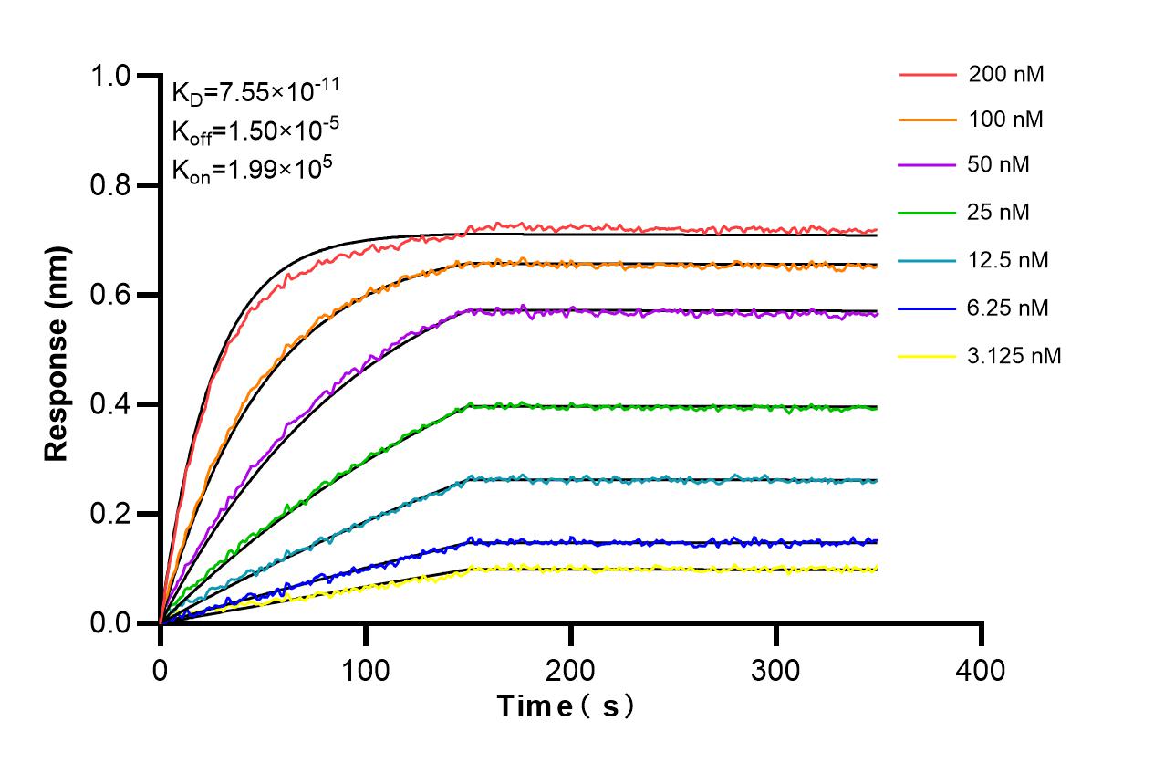 Affinity and Kinetic Characterization of 84057-1-PBS