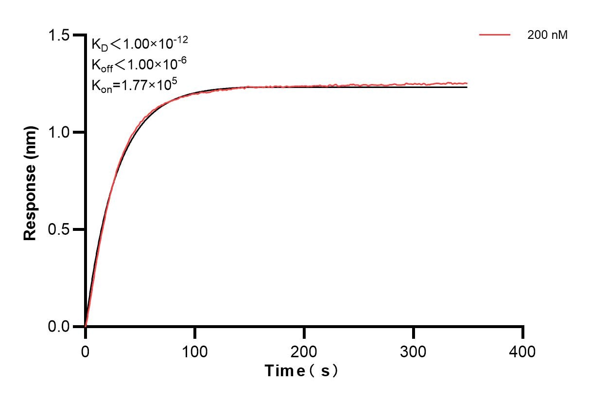 Affinity and Kinetic Characterization of 84063-1-PBS