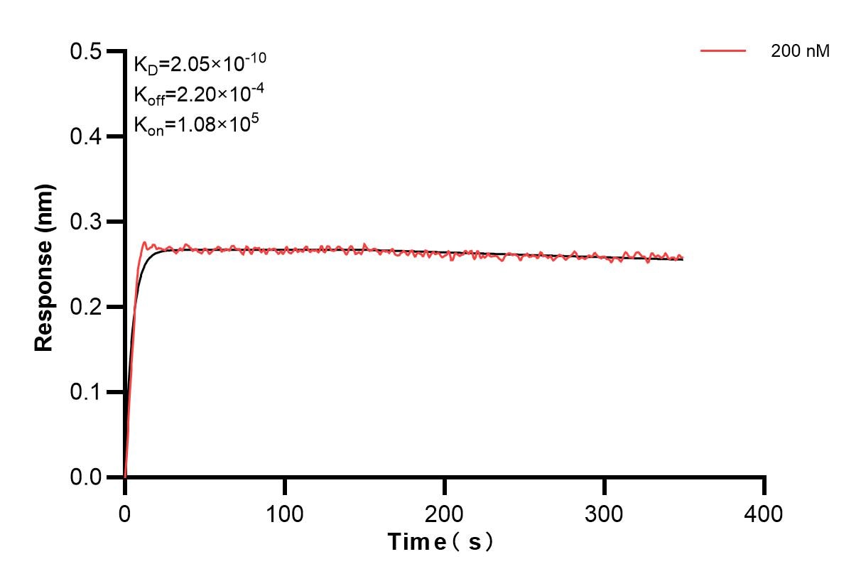 Affinity and Kinetic Characterization of 84072-2-PBS