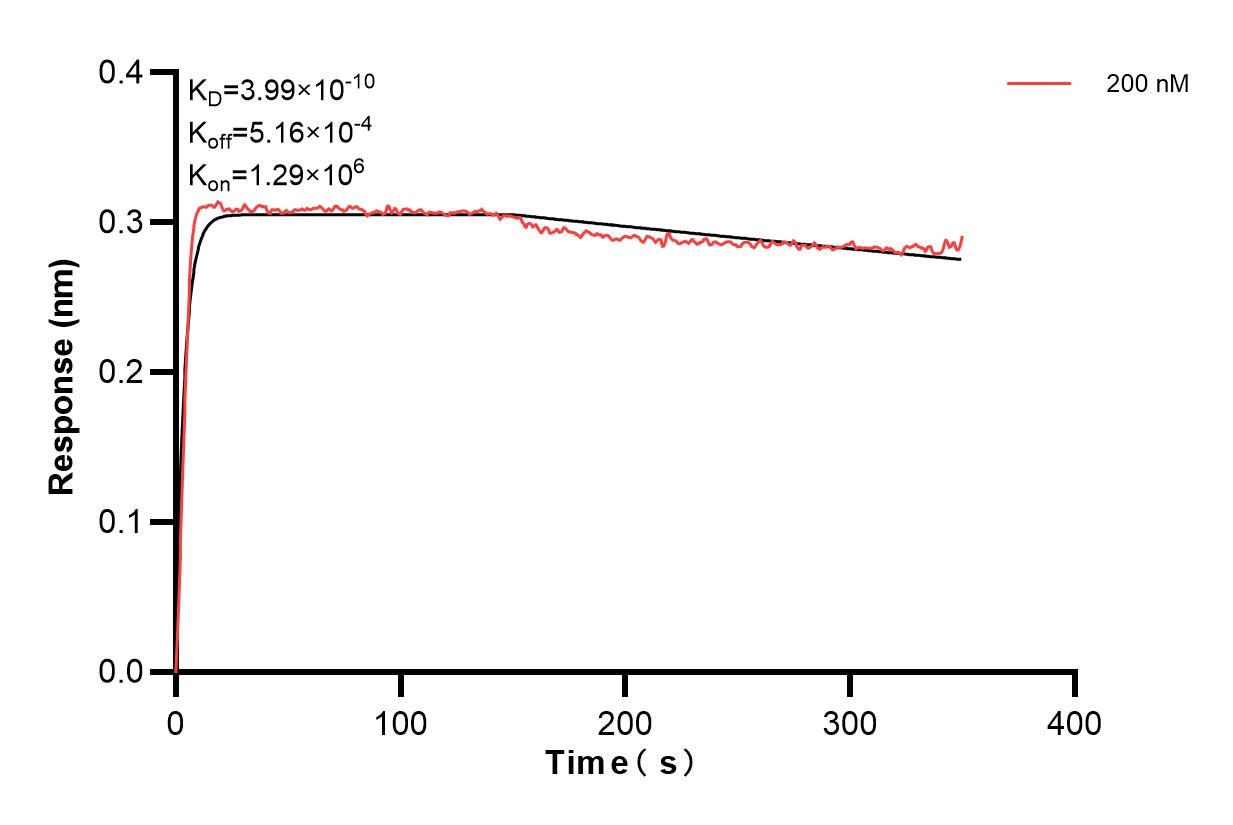 Biolayer interferometry (BLl) kinetic assay of 84072-2-PBS against Human Leptin was performed. The affinity constant is 0.399 nM. Affinity of 84072-2-PBS