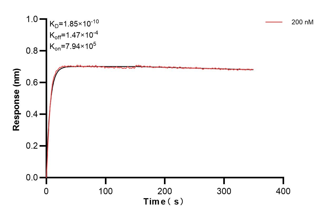 Affinity and Kinetic Characterization of 84074-1-PBS