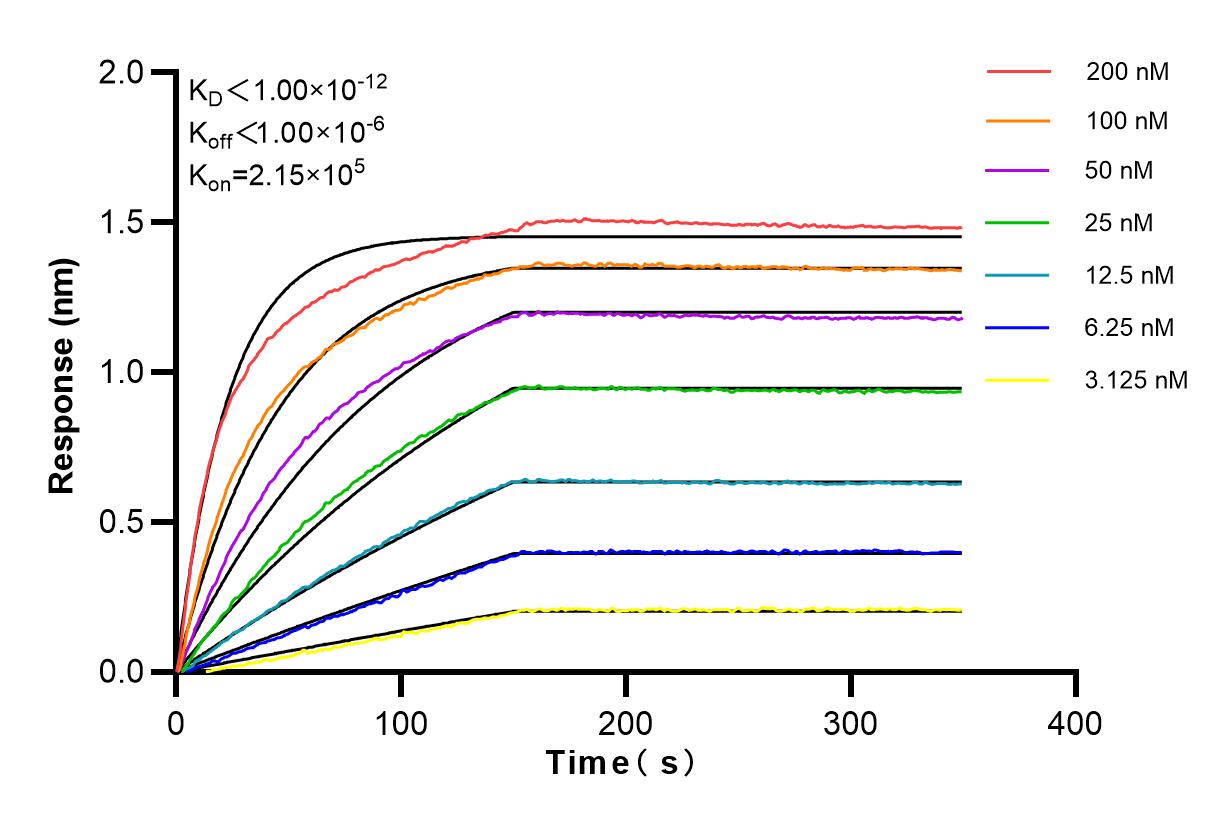 Affinity and Kinetic Characterization of 84076-3-RR