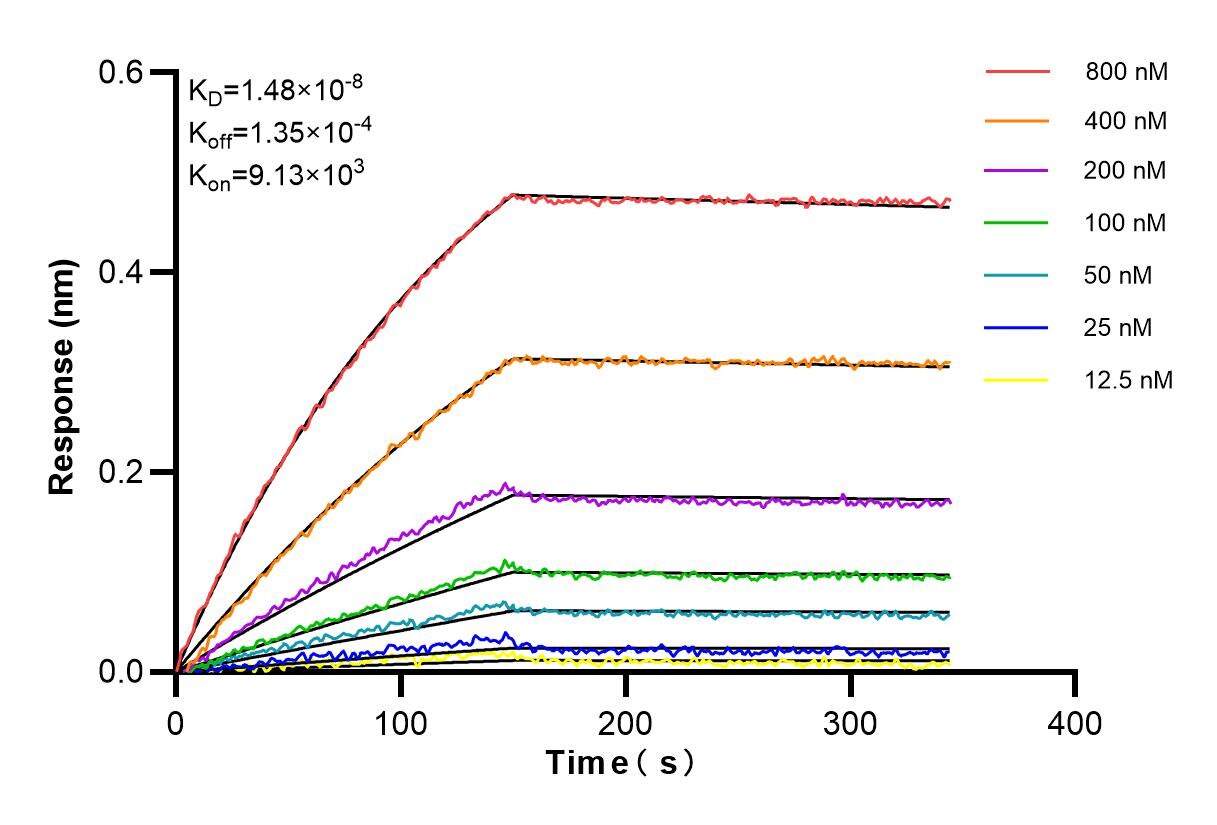 Affinity and Kinetic Characterization of 84078-3-PBS