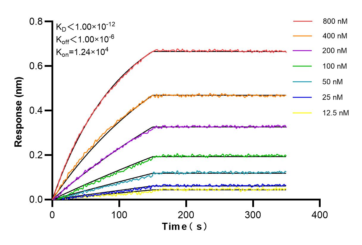Affinity and Kinetic Characterization of 84078-5-PBS