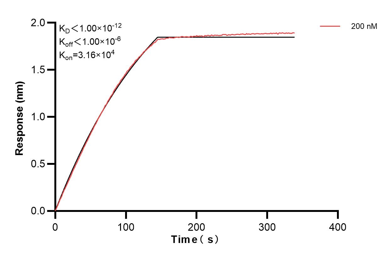 Affinity and Kinetic Characterization of 84080-1-PBS