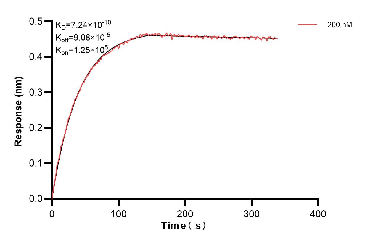 Affinity and Kinetic Characterization of 84080-2-PBS