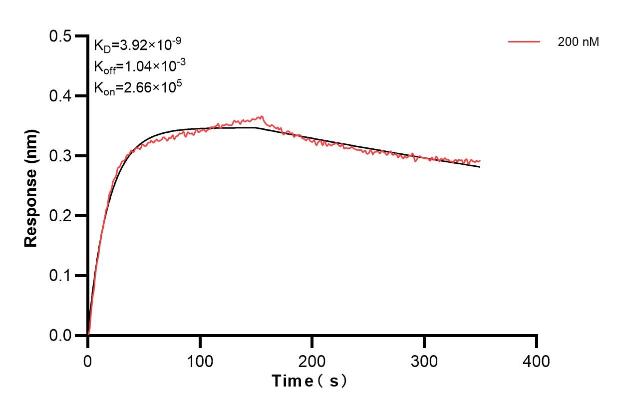 Affinity and Kinetic Characterization of 84081-2-PBS