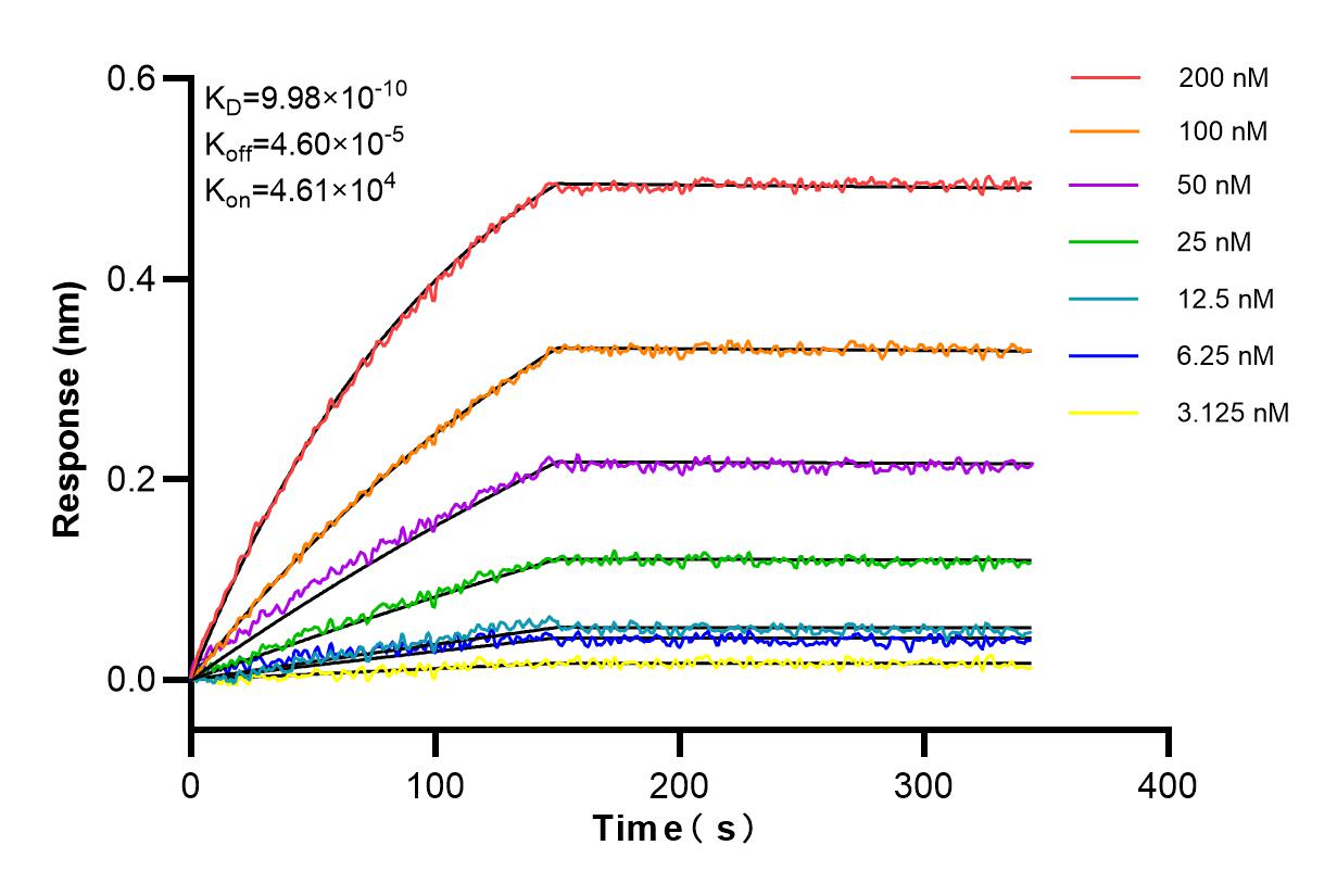 Affinity and Kinetic Characterization of 84081-4-RR