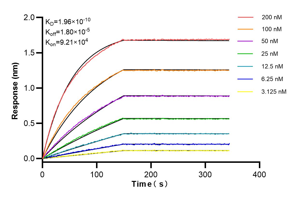 Affinity and Kinetic Characterization of 84084-3-RR