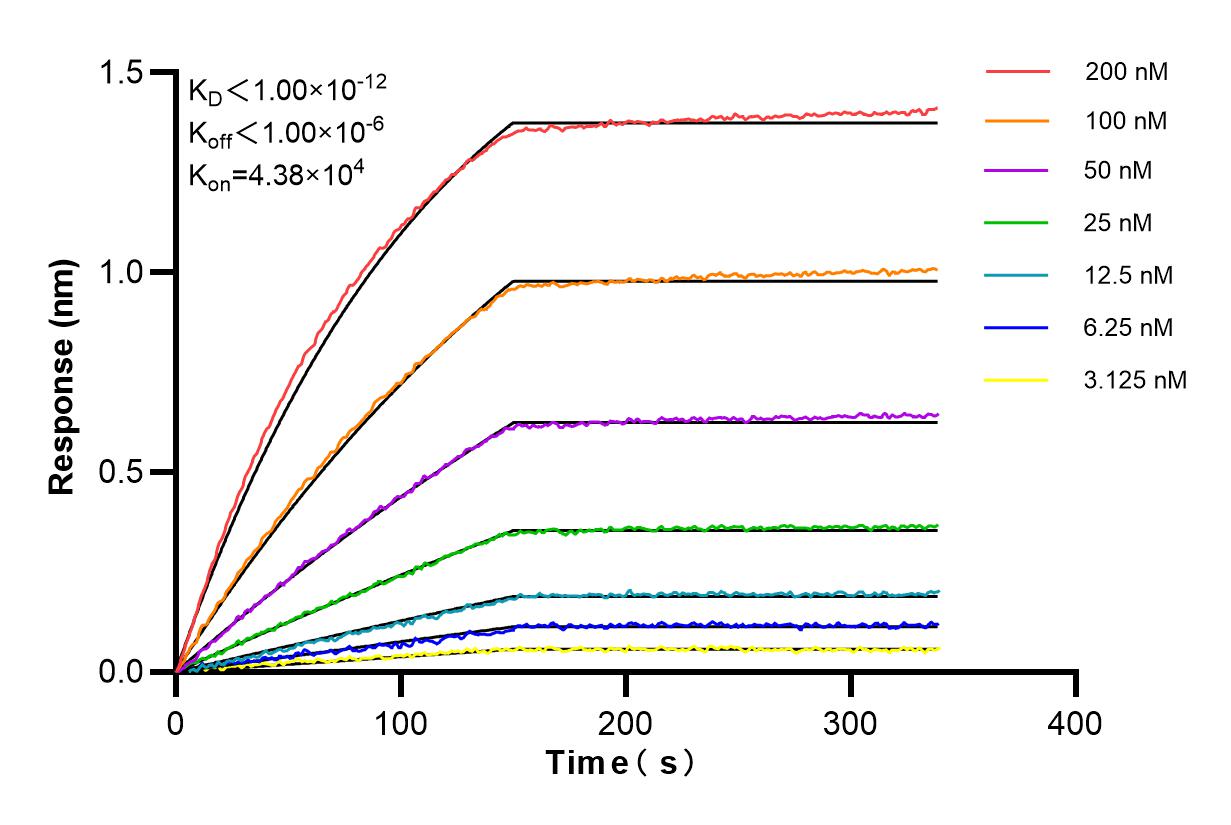 Affinity and Kinetic Characterization of 84089-4-RR