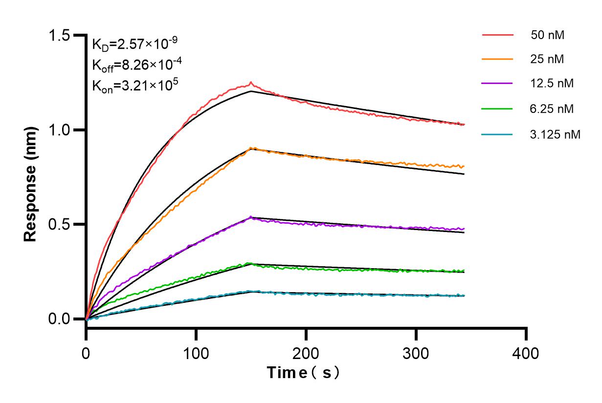 Affinity and Kinetic Characterization of 84091-4-RR
