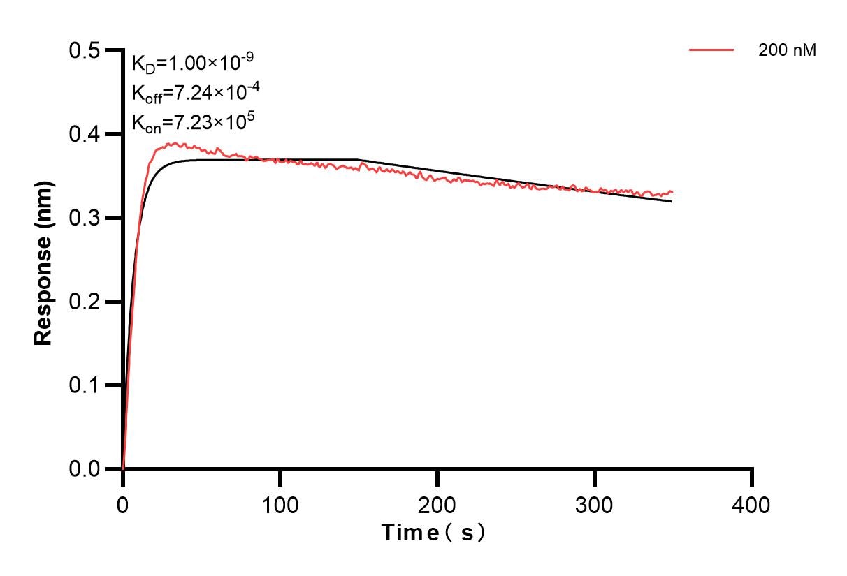 Affinity and Kinetic Characterization of 84093-5-PBS