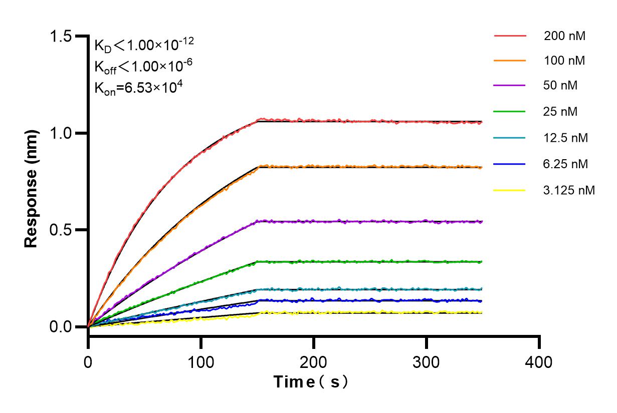 Affinity and Kinetic Characterization of 84094-6-RR