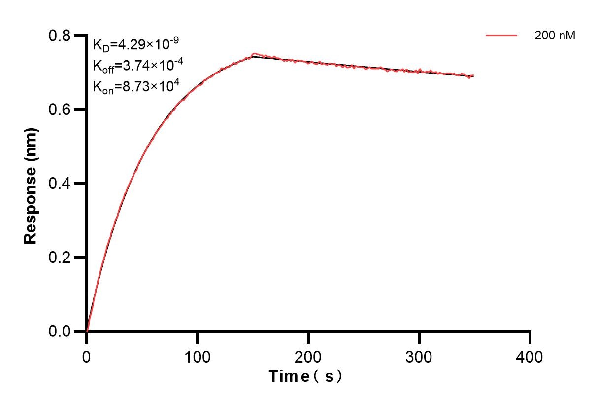 Affinity and Kinetic Characterization of 84096-4-PBS