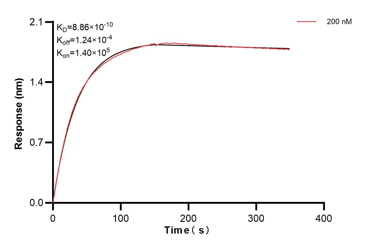 Affinity and Kinetic Characterization of 84100-2-PBS