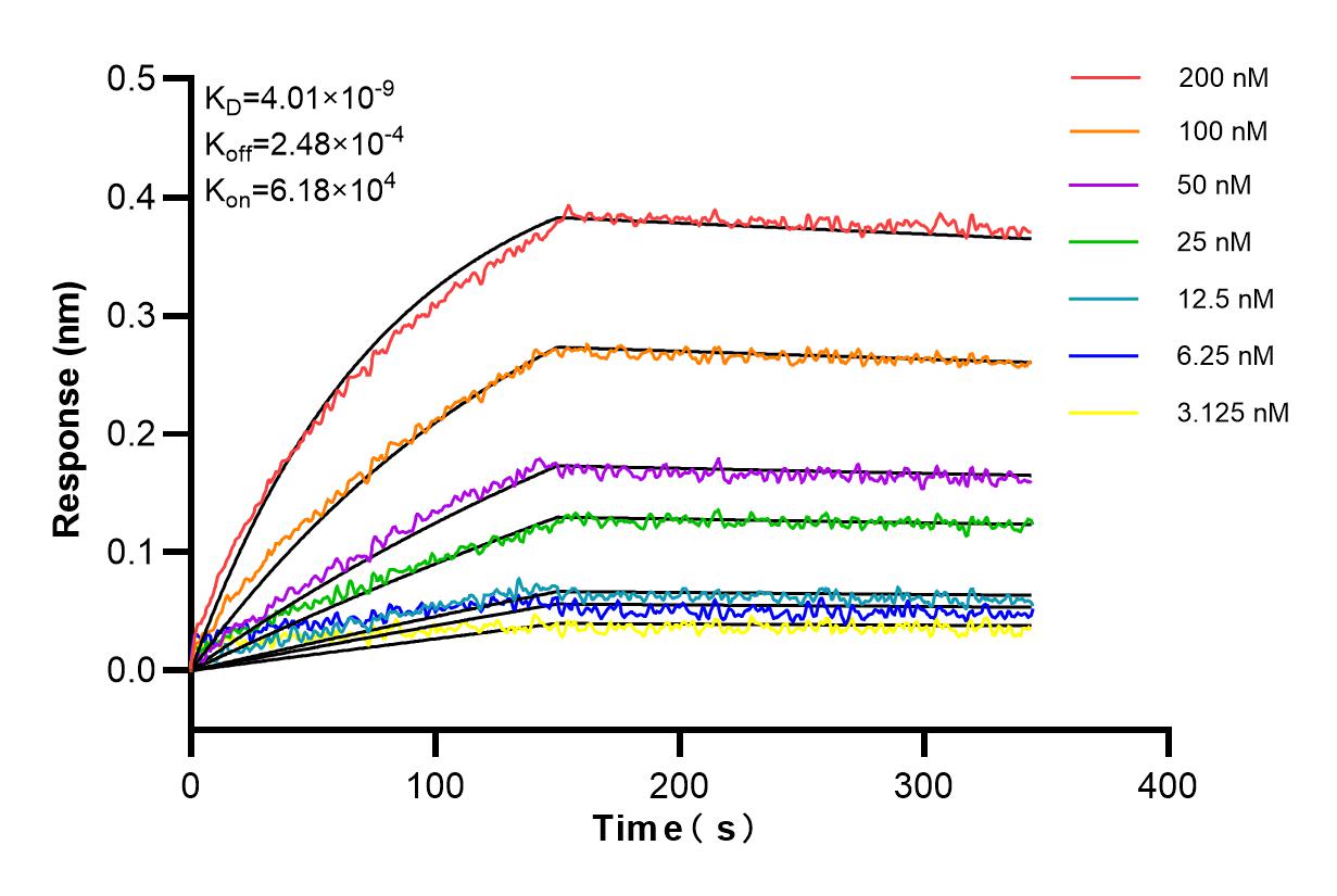 Affinity and Kinetic Characterization of 84102-5-RR