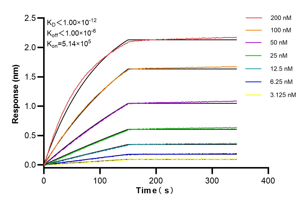 Affinity and Kinetic Characterization of 84103-6-RR