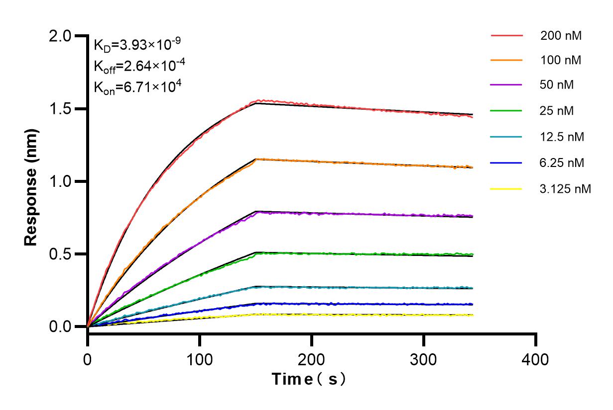 Affinity and Kinetic Characterization of 84104-2-RR