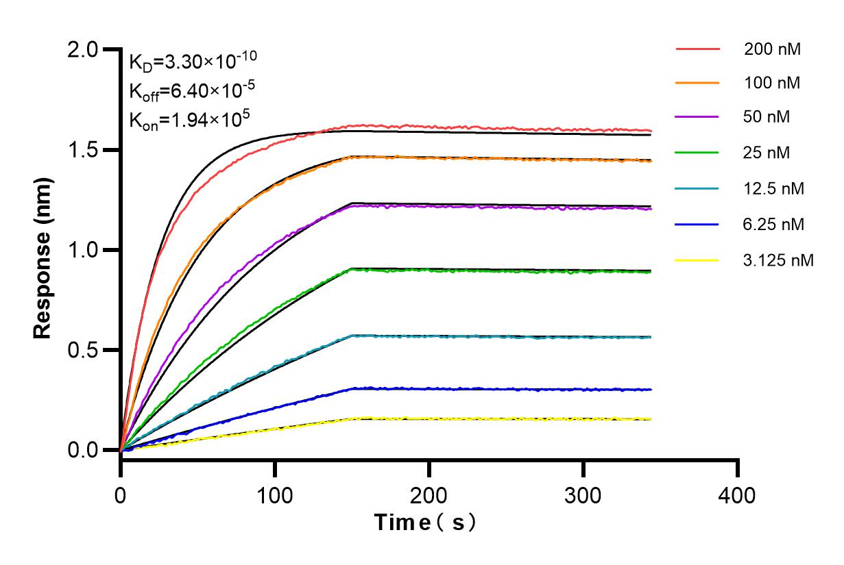 Affinity and Kinetic Characterization of 84104-4-RR