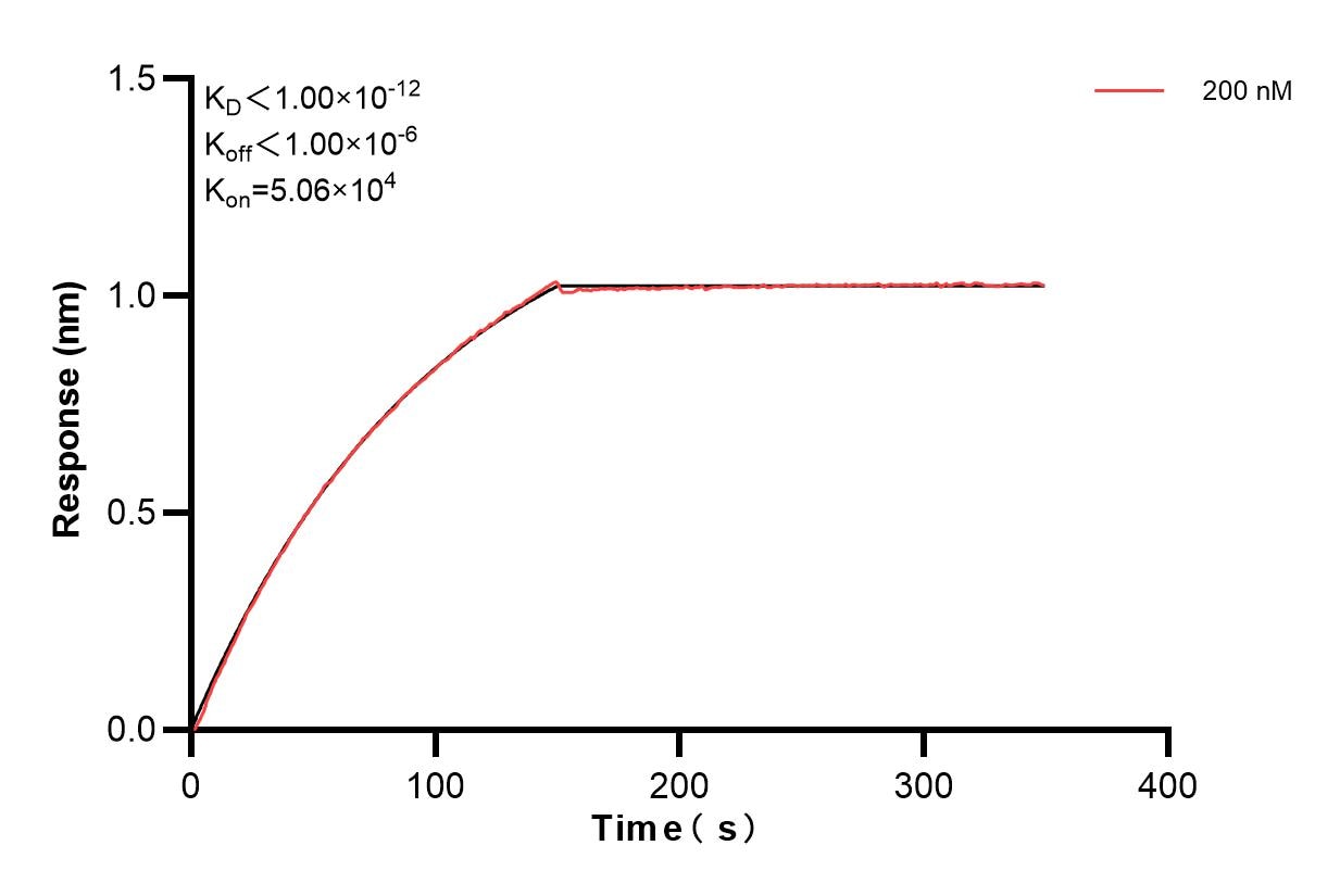 Affinity and Kinetic Characterization of 84107-1-PBS