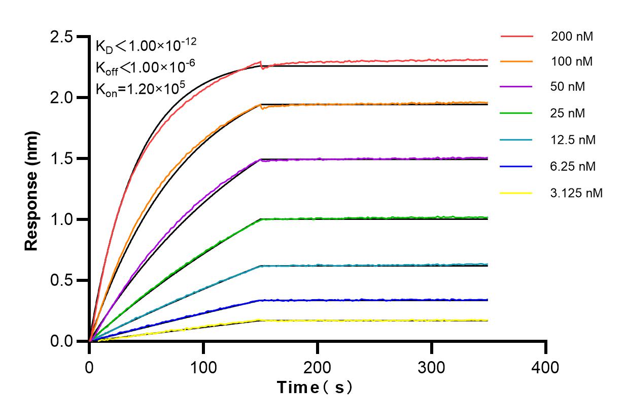 Affinity and Kinetic Characterization of 84107-2-RR
