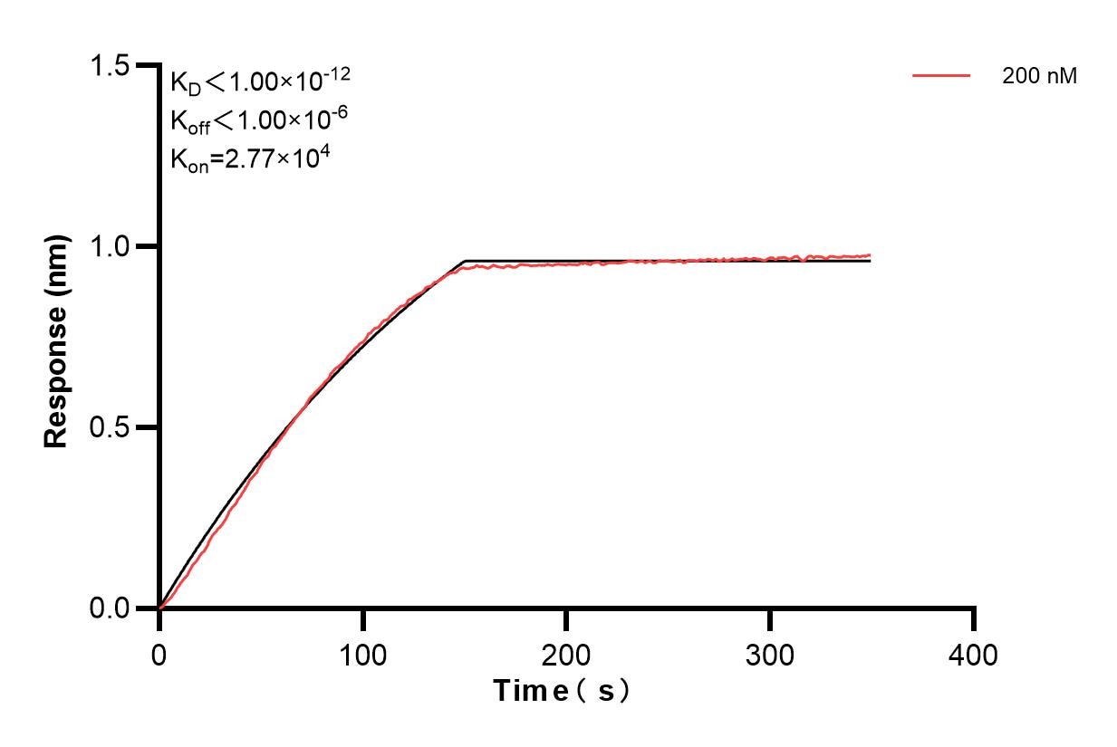 Affinity and Kinetic Characterization of 84109-5-PBS