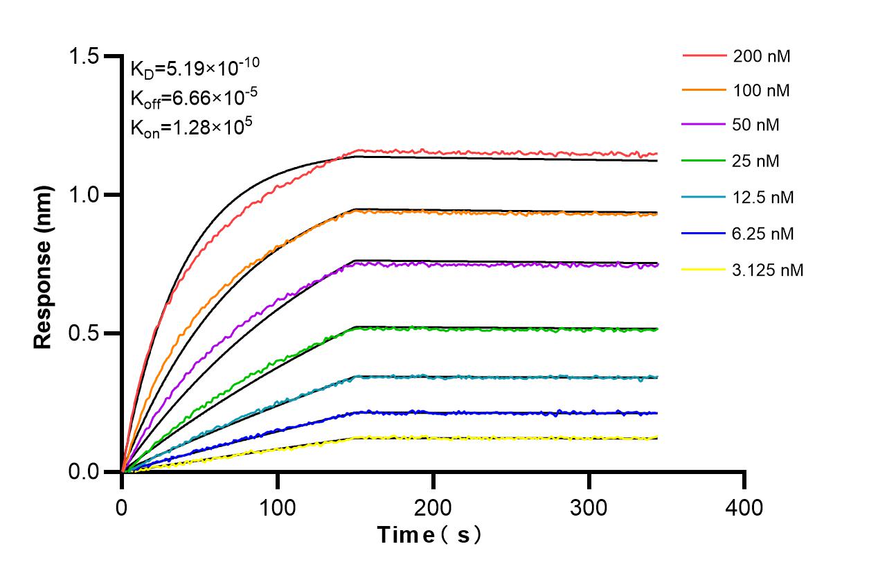 Affinity and Kinetic Characterization of 84111-1-RR