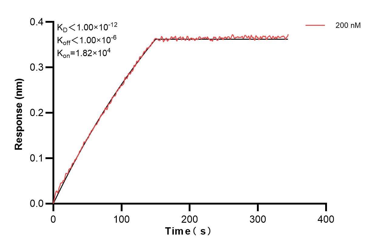 Affinity and Kinetic Characterization of 84120-2-PBS