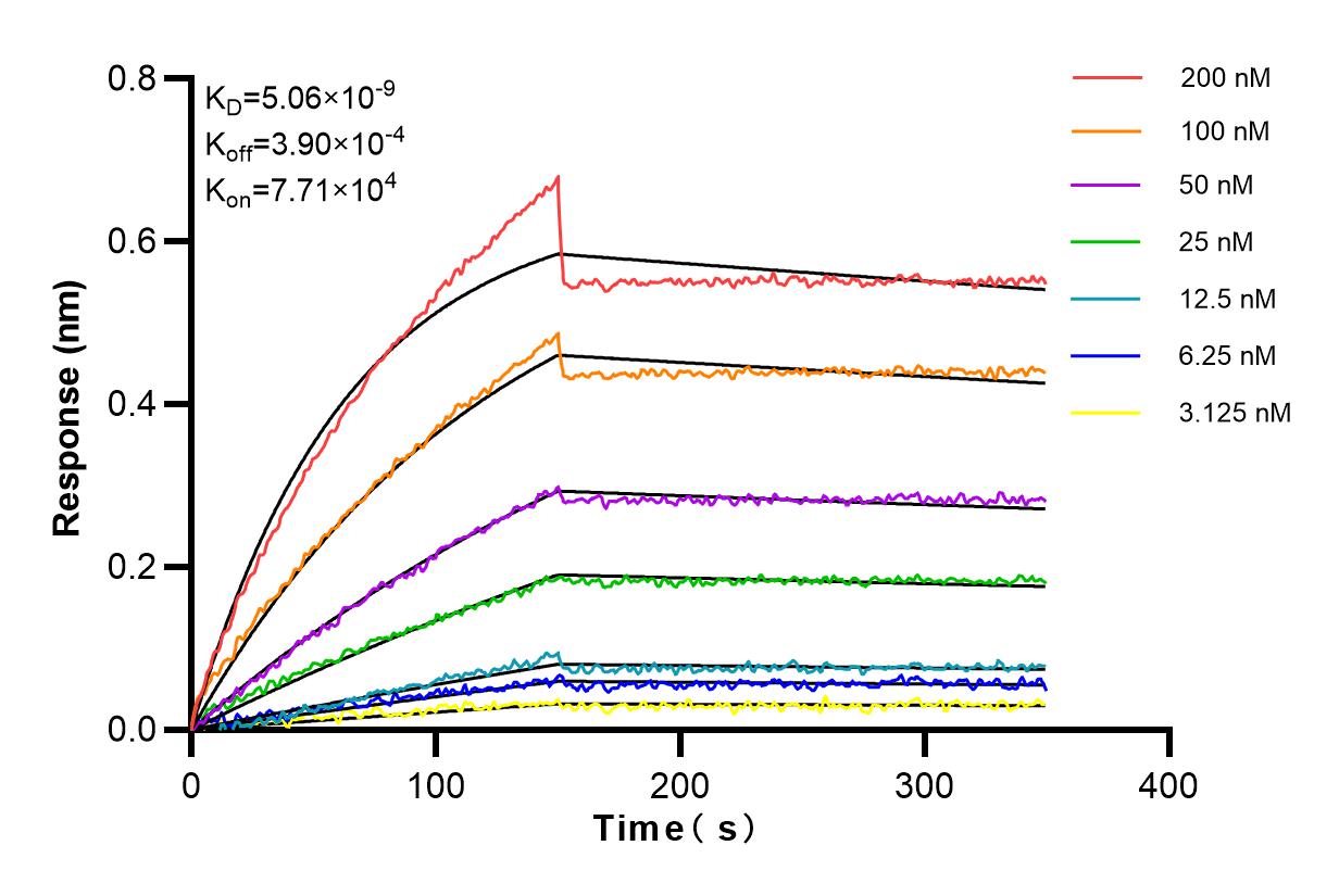 Affinity and Kinetic Characterization of 84133-5-RR