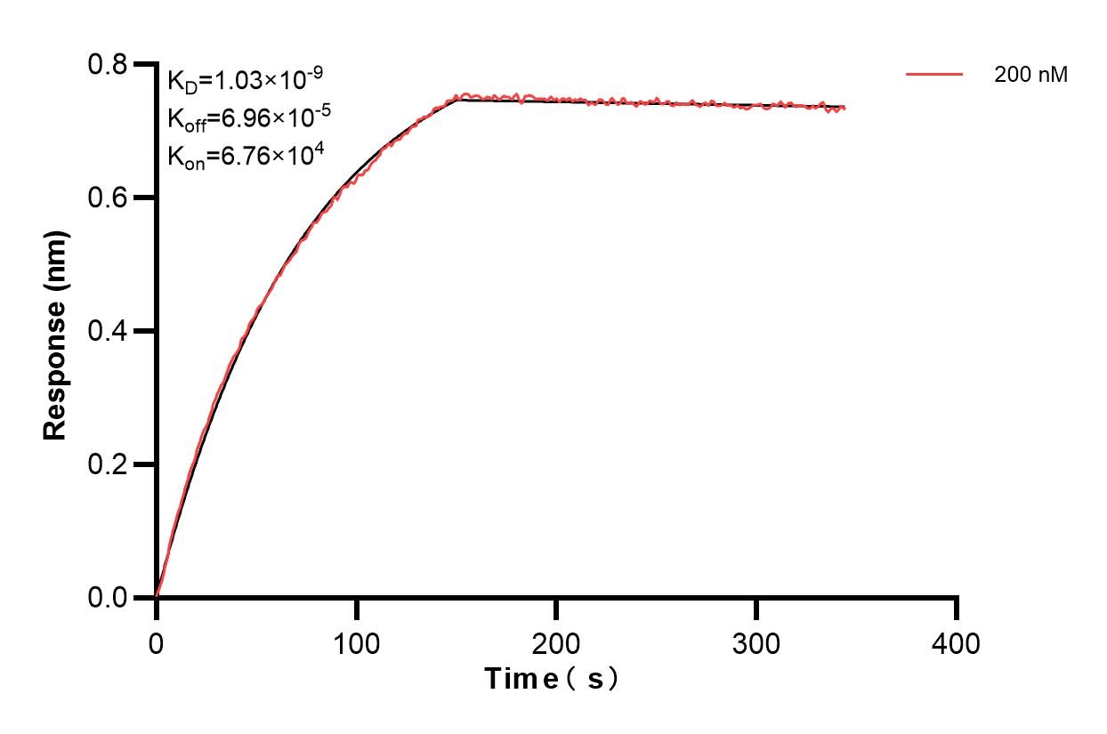 Affinity and Kinetic Characterization of 84134-3-PBS